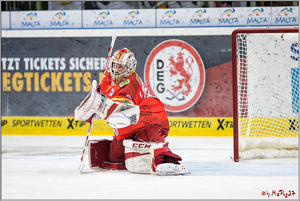 DEL, Koelner Haie - Duesseldorfer EGY, 22.01.2017